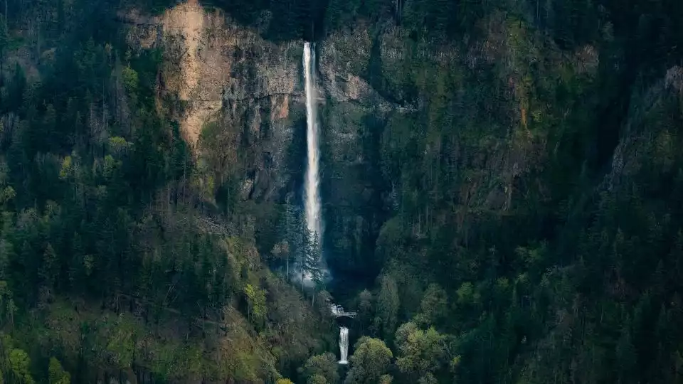 Portland: Private Multnomah Falls Tour | GetYourGuide