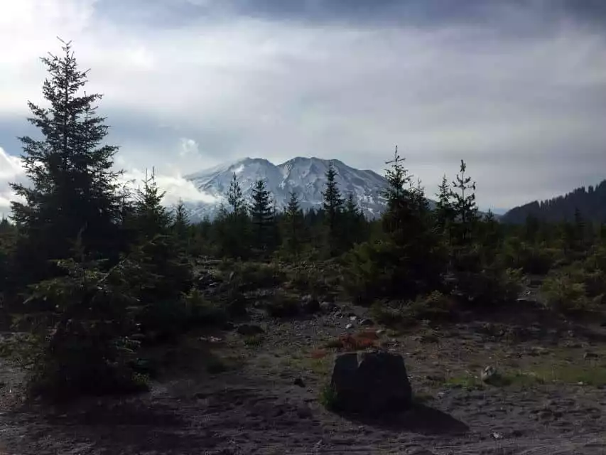 Portland: The Mt. St. Helens Adventure Tour | GetYourGuide