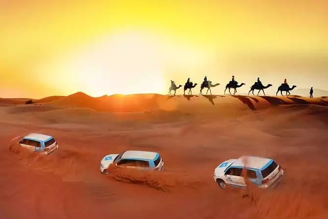Premium Red Dunes, Camel Safari & BBQ at Al Khayma Camp™️, Dubai