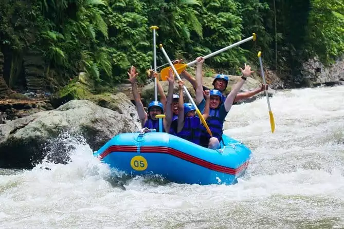 Private Bali White Water Rafting