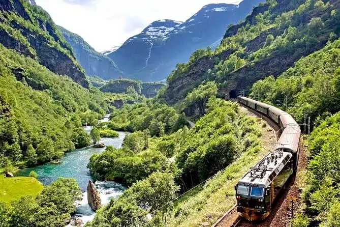 Private Full-Day Round Trip from Oslo to Sognefjord via Flåm Railway