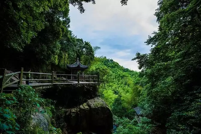 Plog and Hike Mount Mogan Nature Reserve – Guided Outdoor Tour from Hangzhou