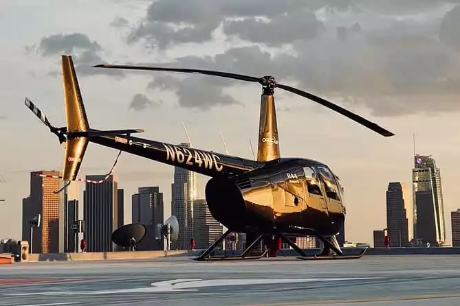 Private Los Angeles Helicopter Ride with Rooftop Landing