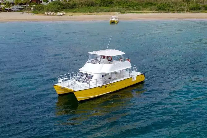 5hr Private Powered Catamaran Snorkel and Beach Experience with Lunch
