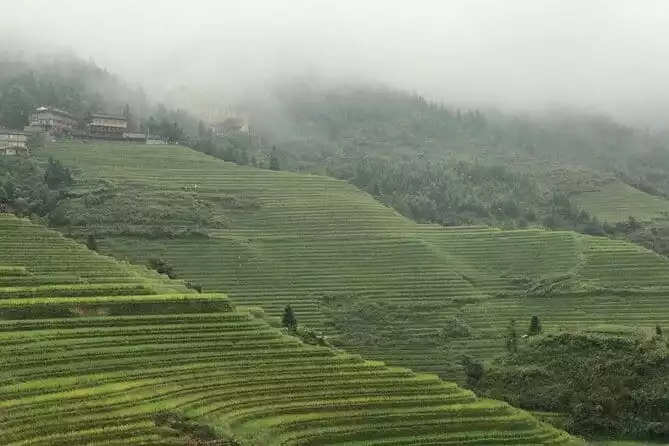 Private Tour: Longsheng Culture and Longji Rice Terraces