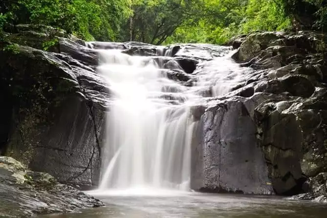 Hike at Pala U Waterfall in Kaeng Krachan Jungle with Private Guide from Hua Hin
