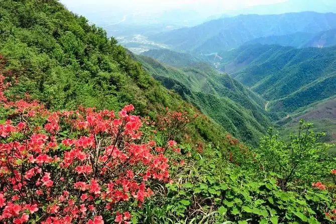 Private Tour: Yao Mountain and Tea Plantation from Guilin