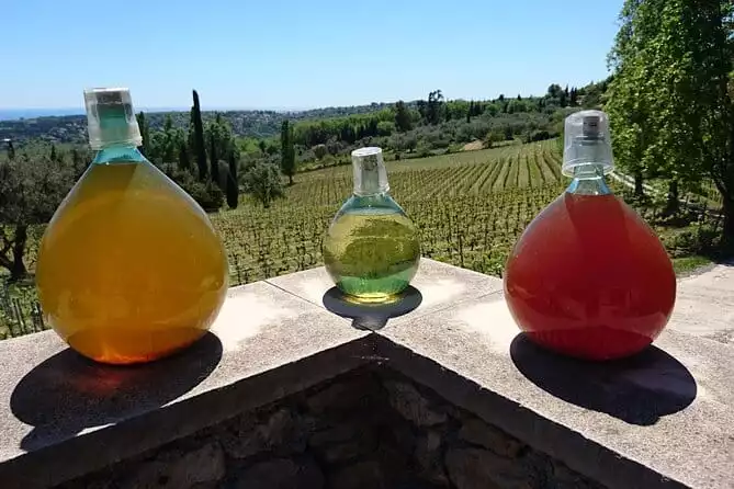 Provence Wine Tour - Private Day tour from Antibes