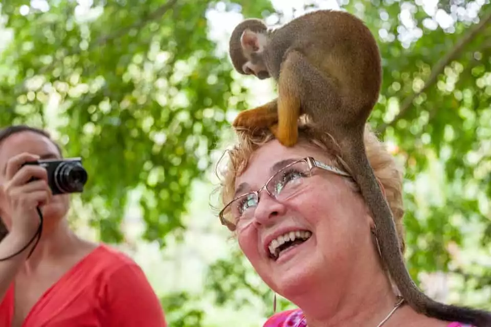 Punta Cana: Monkey Land Half-Day Safari | GetYourGuide