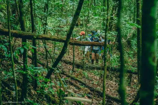 Rainforest Trek in Guyana