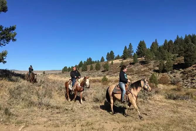 Winter Horseback Riding Adventure from Reno