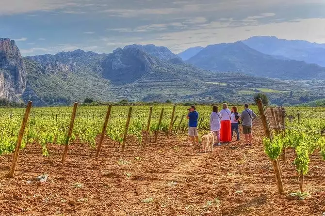 Rioja Like A Native Wine Tour