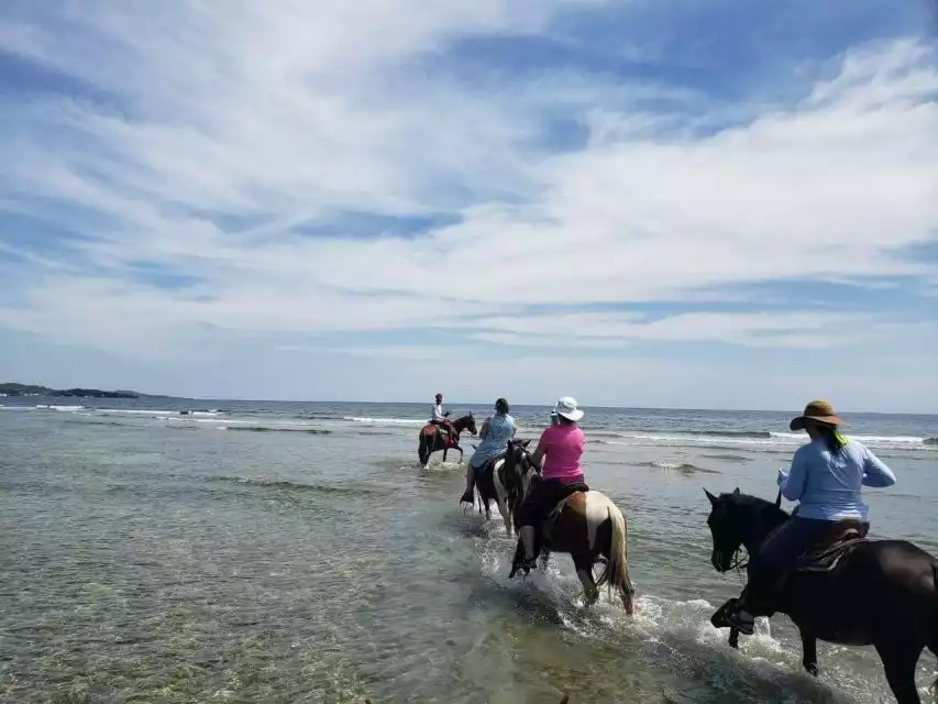 Roatán: Private Horseback Riding Tour | GetYourGuide