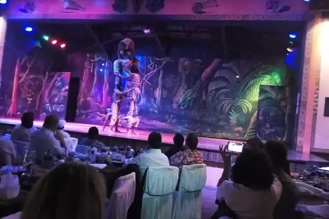 Safari Cat Dancers Show And Dinner