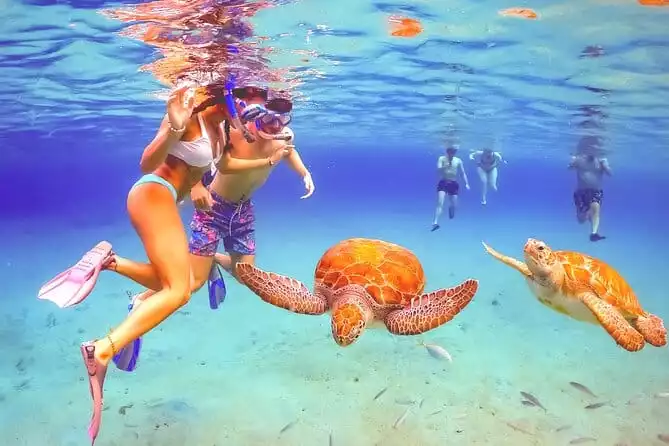 Swim with Turtles! Four Hour Snorkeling Motorboat Tour to Rose Island Beach