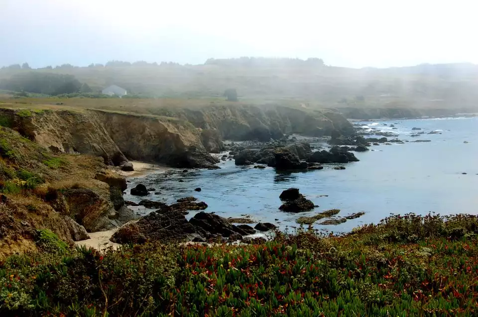 San Francisco: Monterey and Carmel Tour | GetYourGuide
