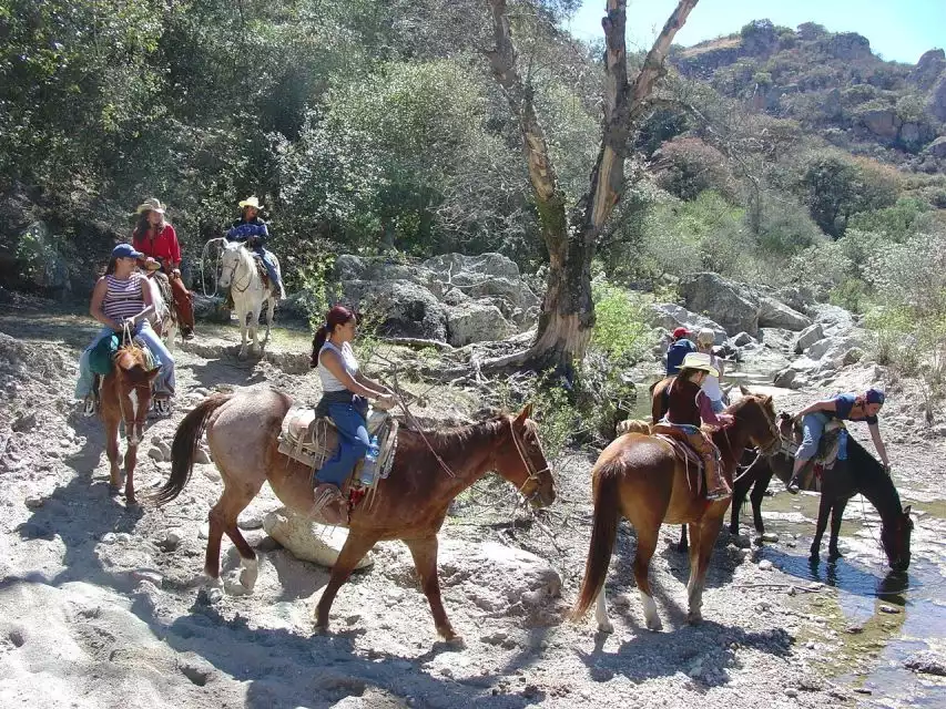 San Miguel Allende: Half-Day Horseback Riding Adventure | GetYourGuide