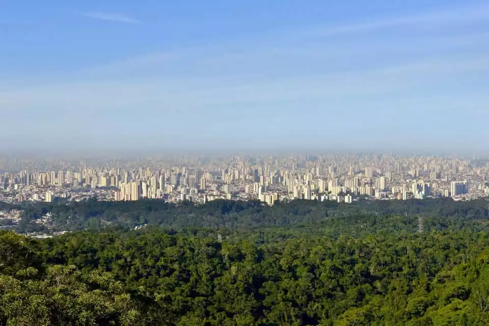 São Paulo Private Half Day Ecotour | GetYourGuide