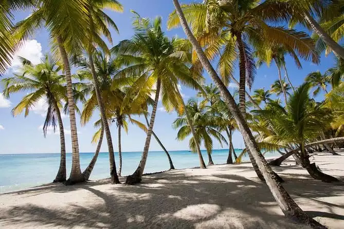 Saona Island Day Trip From Punta Cana with Lunch and Open Bar Included