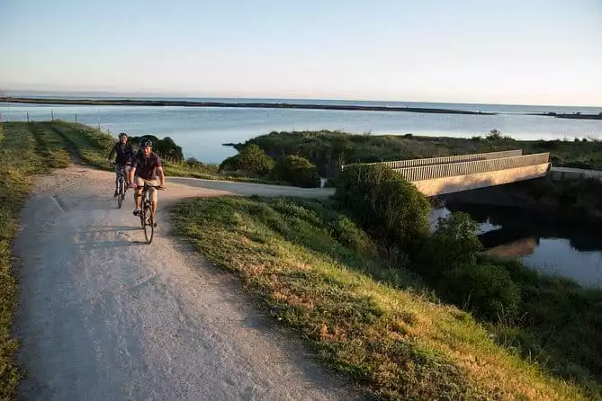 Self-Guided Scenic Bike Ride to Coastal Wineries from Napier