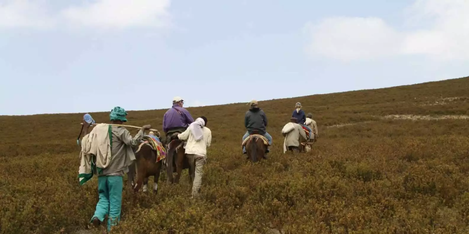 Simien Mountains National Park: Full-Day Hiking Tour | GetYourGuide