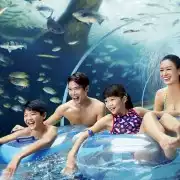 Singapore: Adventure Cove Waterpark Entrance Ticket | GetYourGuide