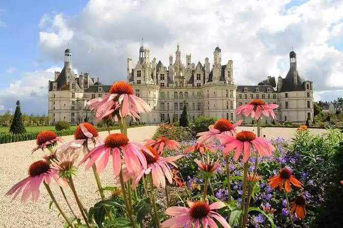 Day Tour of Chateaux of Chenonceau, Chambord & Caves Ambacia XVth century