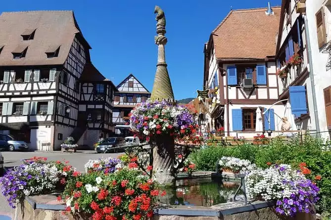 Half-Day Private Alsace Wine Tour from Strasbourg