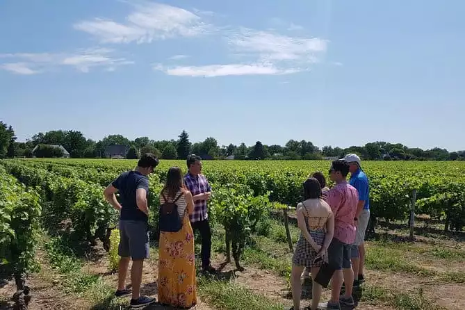 Loire Valley Half Day Wine Tour from City of Tours : 2 wine tastings in Vouvray