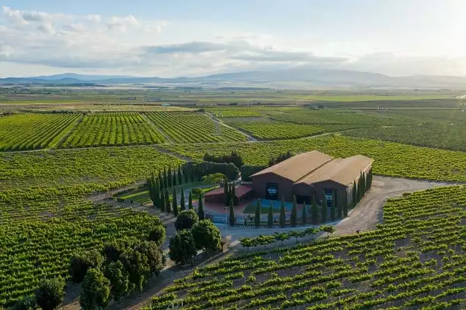 Small-Group Winery Tour and Tasting in Rioja