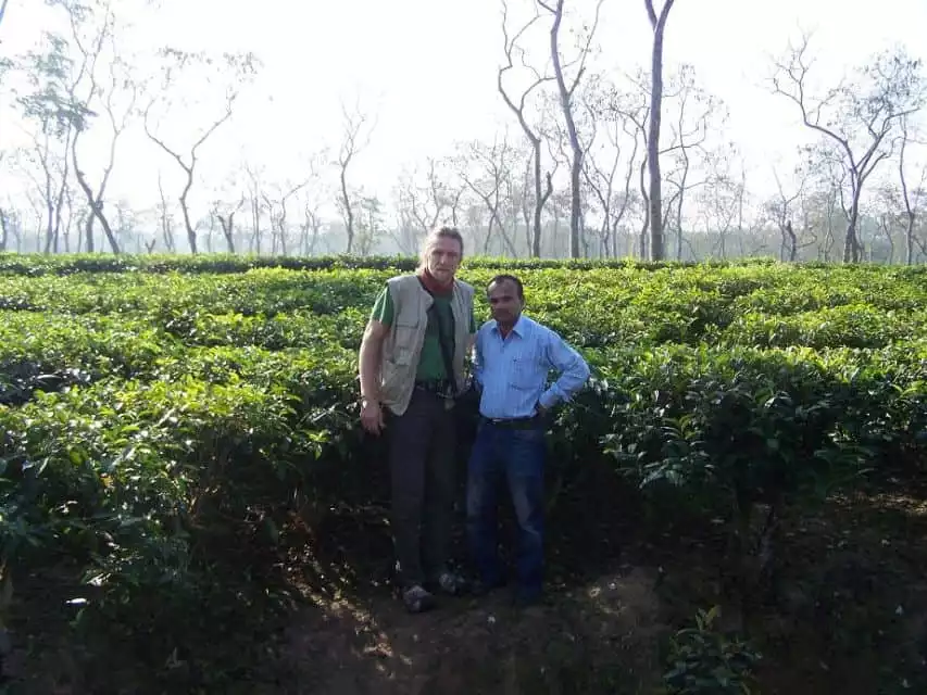 Srimangal Day Tour: Tea Capital of Bangladesh | GetYourGuide