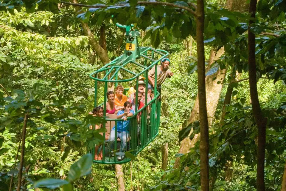 St. Lucia: Rainforest Aerial Tram | GetYourGuide