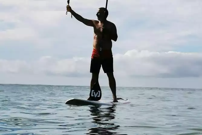 Stand Up Paddle!