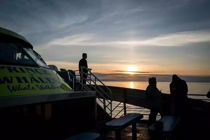Victoria Sunset Whale-Watching Catamaran Sailing Tour 2022