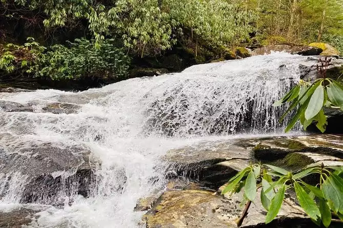 Thundering Streams and Falls of the Smokies Guided Hiking Tour