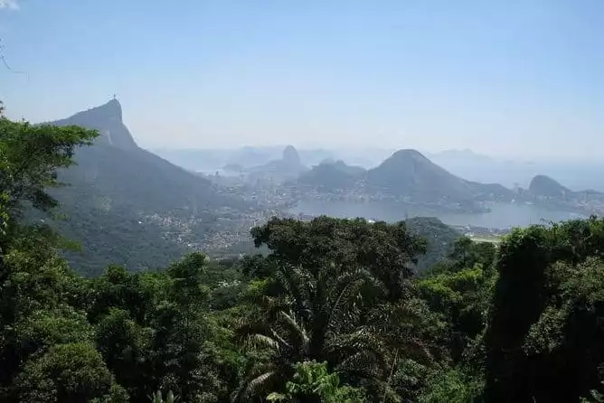 Tijuca Rain Forest Jeep Tour from Rio de Janeiro