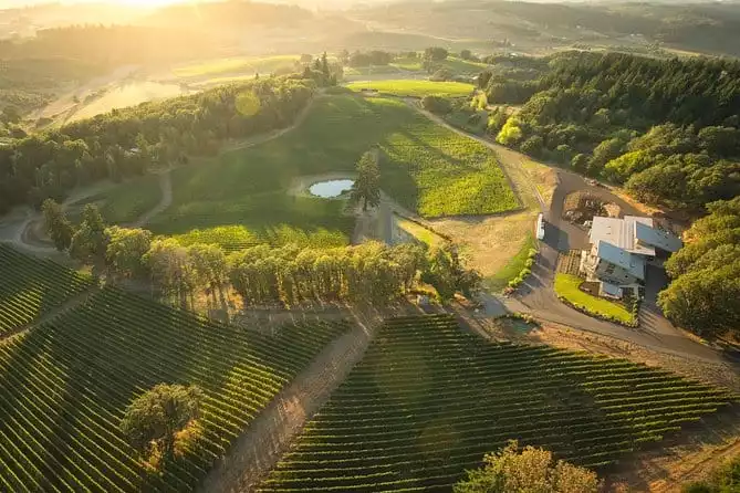 Tour DeVine by Heli - Helicopter Wine Tour