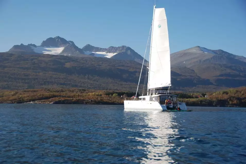Tromsø: Luxury Catamaran Fishing Trip | GetYourGuide