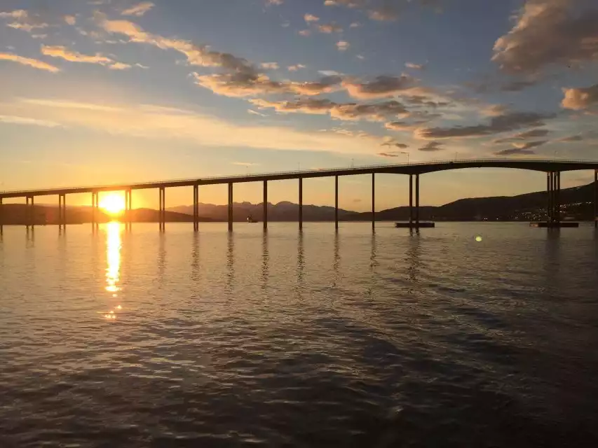 Tromsø: Midnight Sun Cruise in a Luxury Catamaran | GetYourGuide