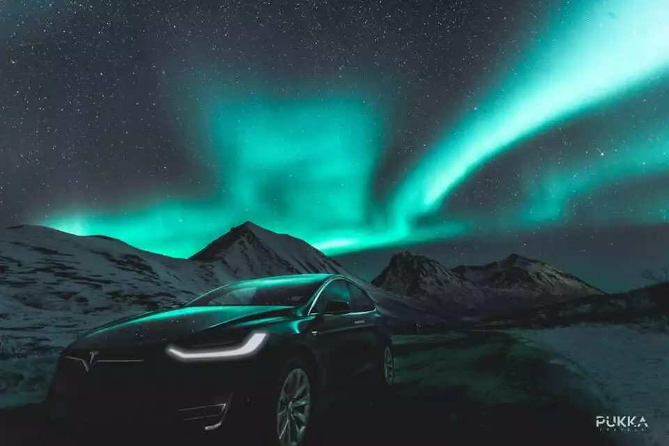 Tromso: Northern Lights x Tesla Experience | GetYourGuide
