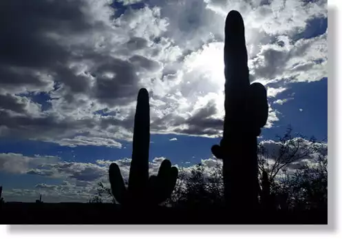 Tucson: 3-Hour Urban Adventure Quest Scavenger Hunt | GetYourGuide