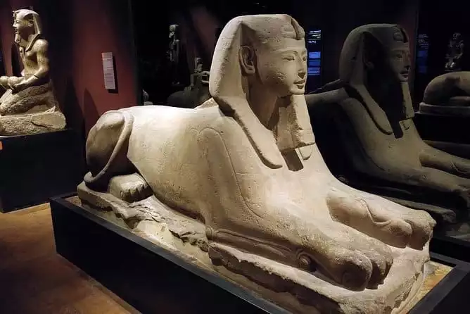 Turin: Egyptian Museum 2-hour monolingual guided experience in small group
