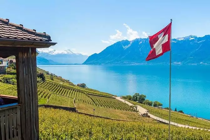 Panoramic Wine Tour From Montreux