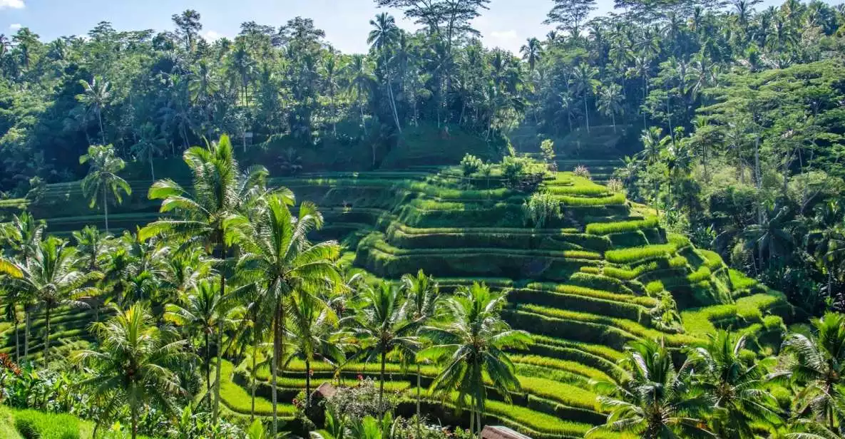 Ubud: 2-Day Heart of Bali Private Tour | GetYourGuide