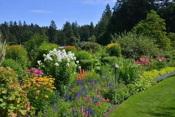 Full-Day Victoria and Butchart Gardens Tour from Vancouver | GetYourGuide