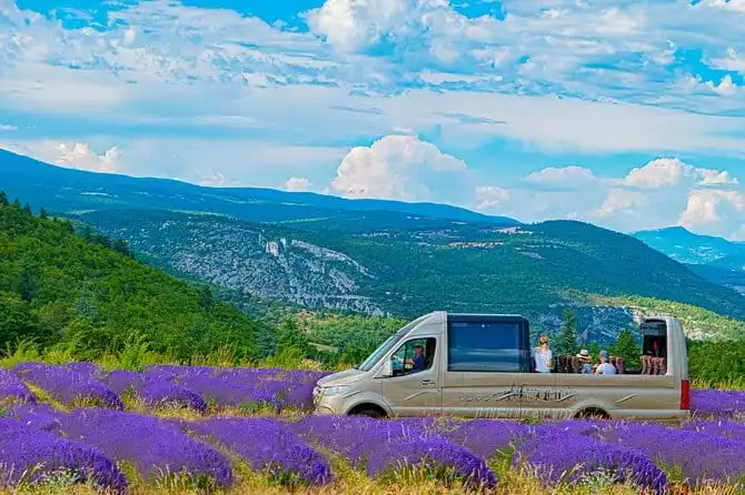 Visit Provence Lavender excursion