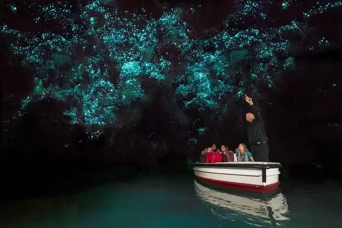 Waitomo Glowworm Cave Experience