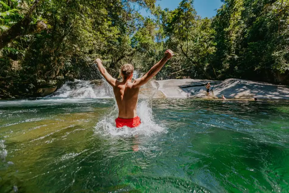 Waterfall, Wildlife and Rainforest Tour from Cairns | GetYourGuide