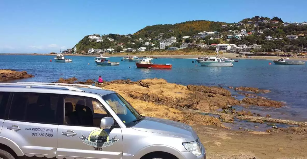 Wellington: Private Day Tour with Lunch | GetYourGuide