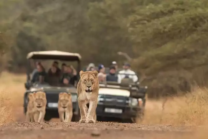 Durban: Go on Safari at 2 Game Reserves (Hluhluwe-Imfolozi) Pro Zeiss Binoculars